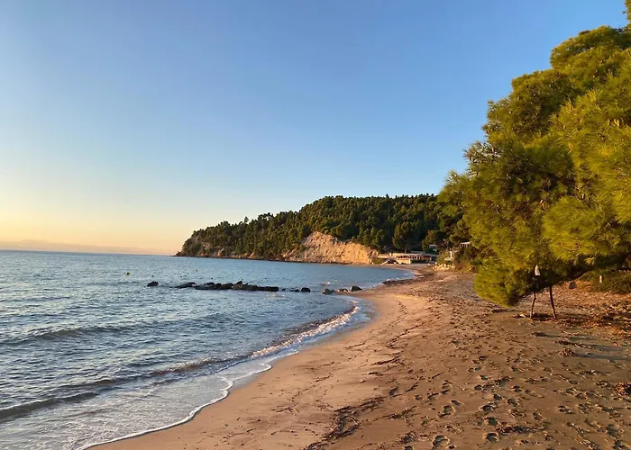 Elielani Oasis - 9x4 M Private Pool 别墅